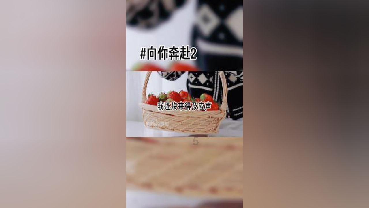 卡塔尔说巴以停火谈判有进展，呼吁美国“勿搅局”